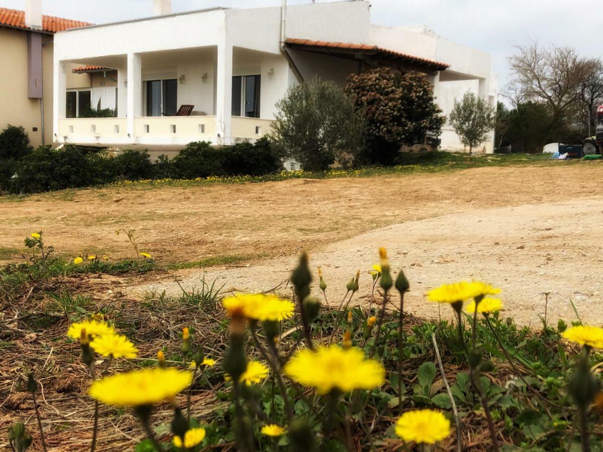 The Hillhouse Near Alexandroupolis别墅 外观 照片